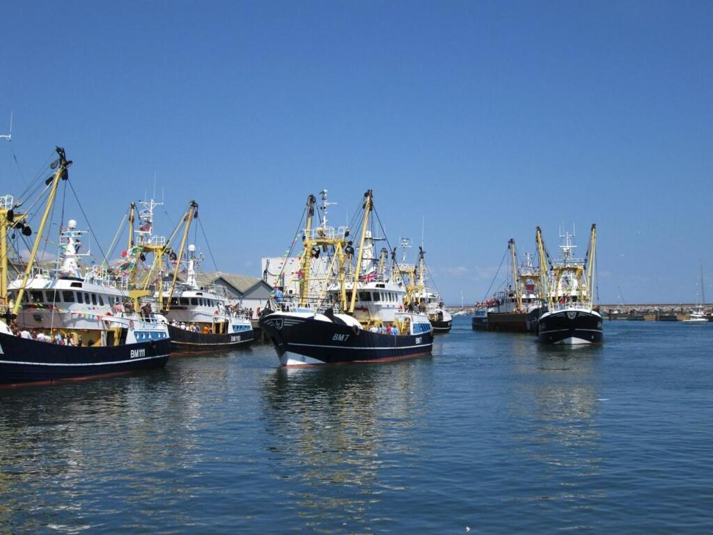 A Modern And Cosy Apartment Just Yards From Brixham'S Bustling Harbourside المظهر الخارجي الصورة